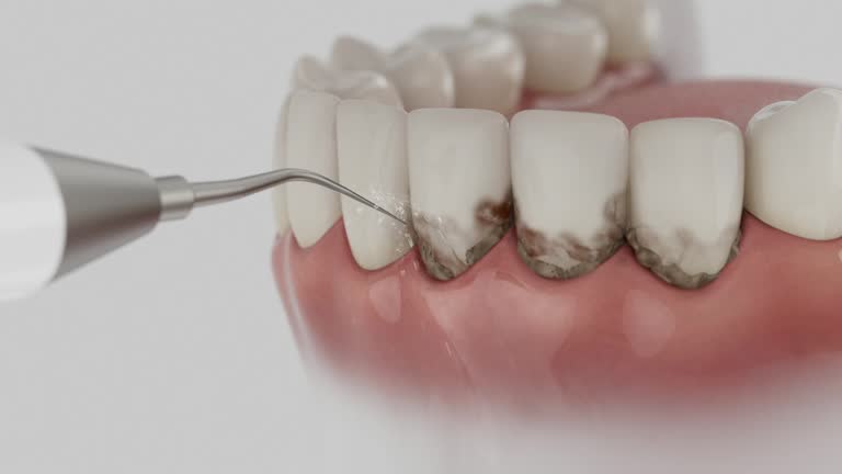 Reliable Dental contractor in Franklin Parish County, LA by Dentist Open Now